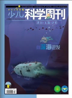 少儿科学周刊